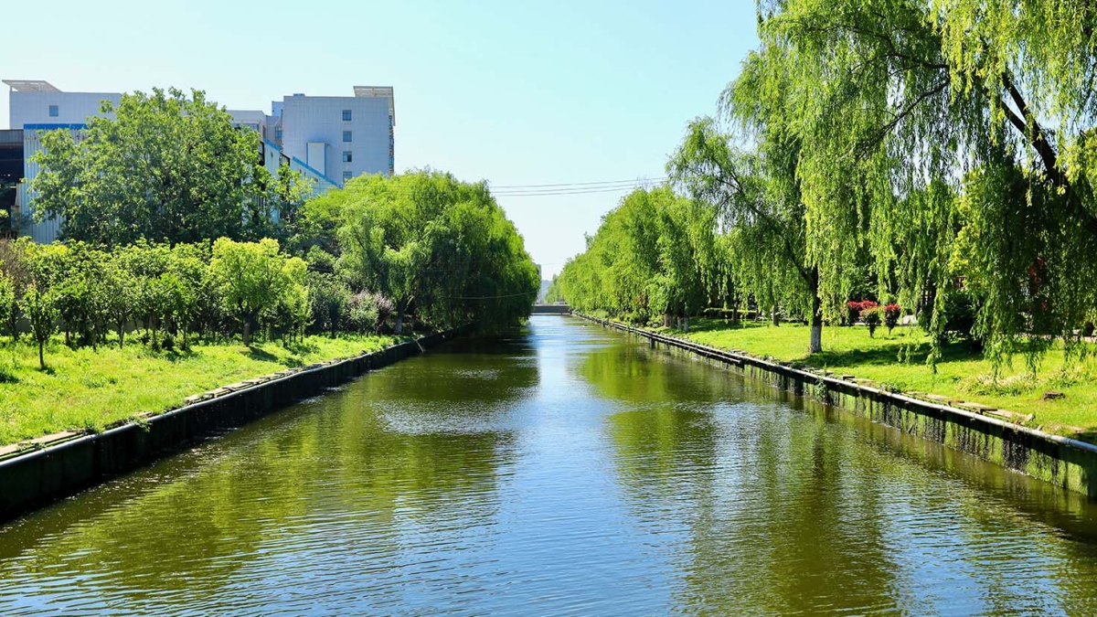 東山國(guó)際企業(yè)研發(fā)園水體環(huán)境整治工程